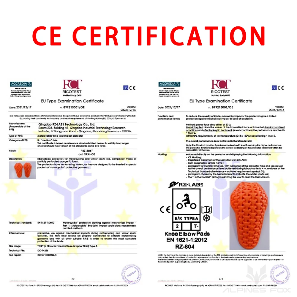 CE Level 2-zertifizierte Motor – Motorcycle Gear Alpine Bewertung und Preis